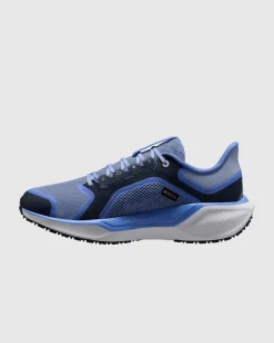 Air Zoom Pegasus 41 GTX Rosso Donna