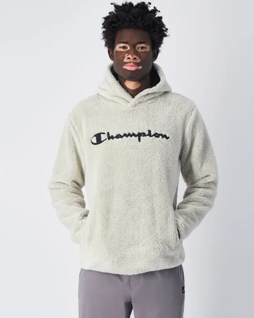 Felpa Chiusa Con Cappuccio Big Logo Grigio Uomo
