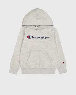 Felpa con cappuccio con logo grande Grigio Bambino