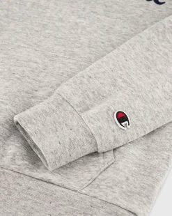 Felpa con cappuccio con logo grande Grigio Bambino