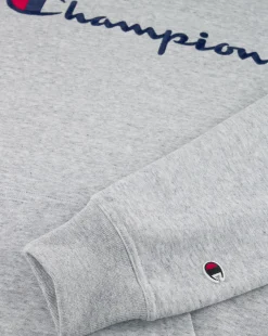 Felpa Con Cappuccio Icons Grigio Uomo